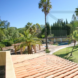 farm country property