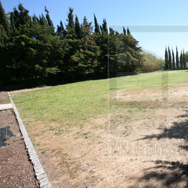 farm country property