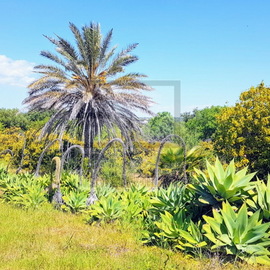 vila 6 bedrooms for sale moncarapacho olhao