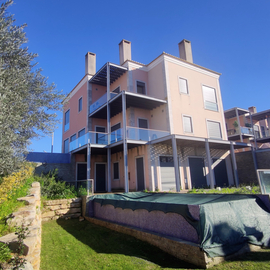 margaridas vale lobo 